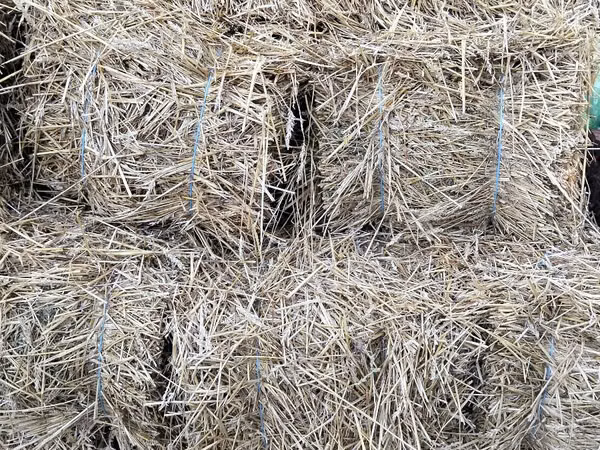 Продам тюки соломы 35 лей тюк