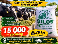 Silos sotiladi — 20 kg 15 000 so‘m, Xatirchi — photo 1