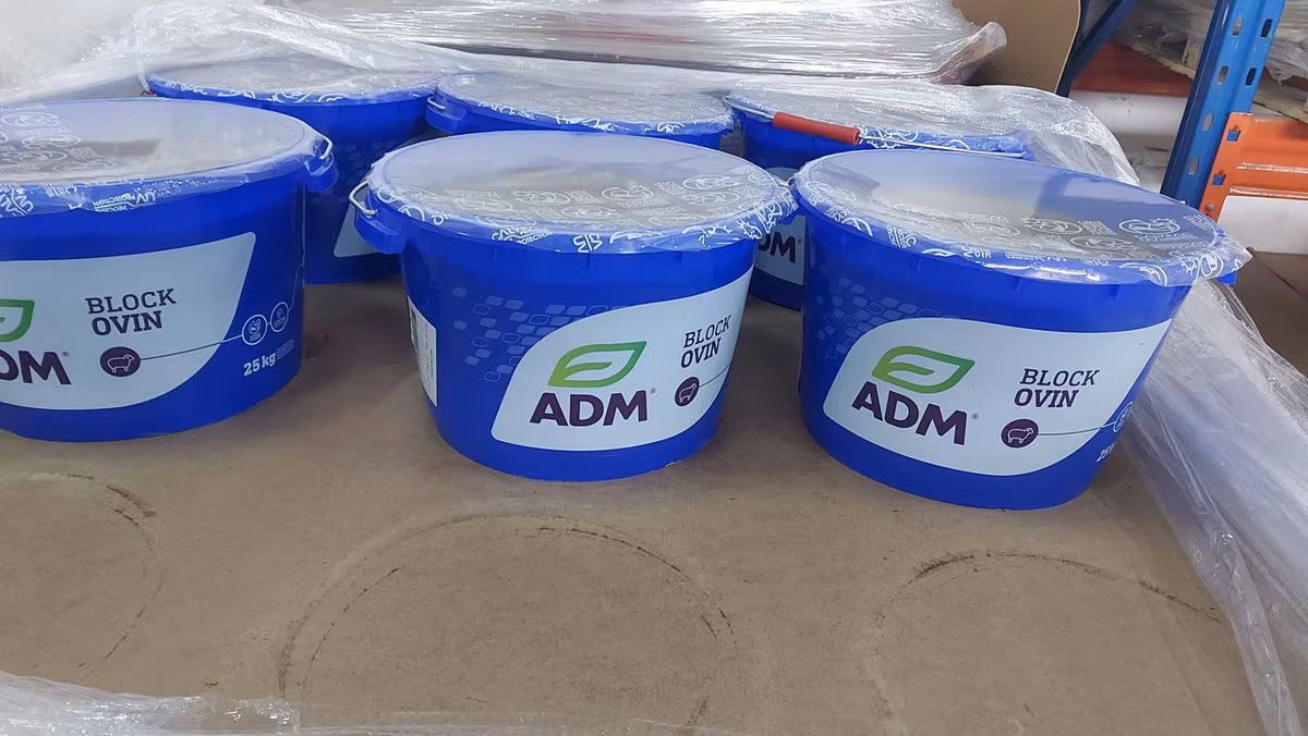Premix solid În caldări pentru oi, capre