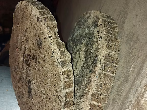 Vînd macuc prățit roți