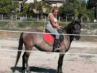 Toychoq, Polish pony — 5-rasm