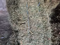 Тюки , Сено луговое — сүрөт 3