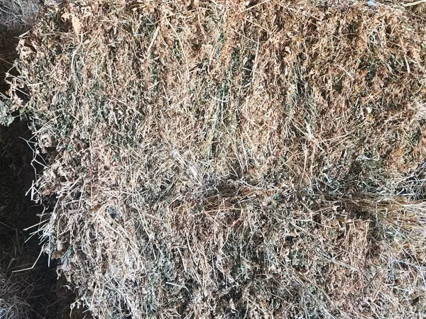 Продаю тюки люцерны, очень высокого качества. Это видно на фото.