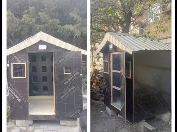 Quş yuvası Bahali diklerden bahali meterialdan yiqilib zehmet haqqi