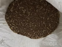 Bug’doy sotiladi — الصورة 4