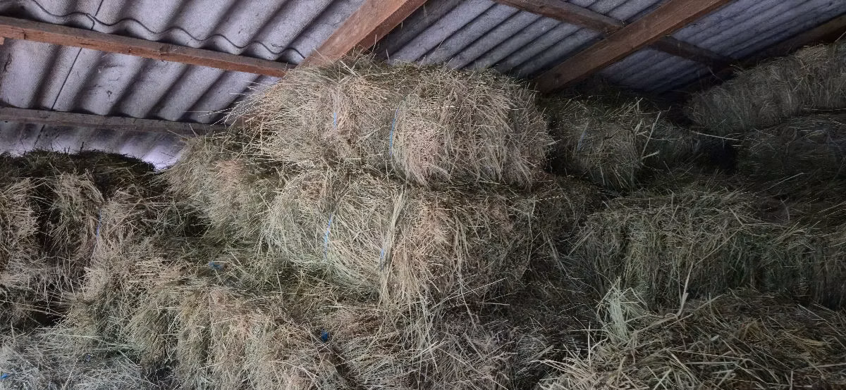 Vind Fîn, Lucernă,Paie în baloți