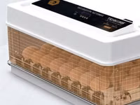 Incubator MS 63 — foto 1