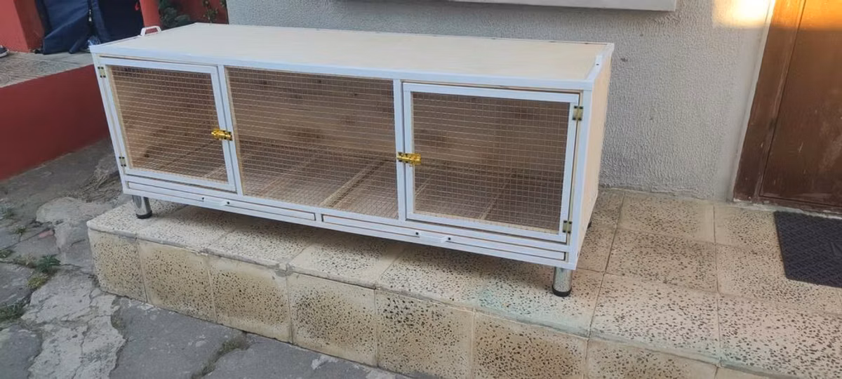 Dovşan,hamster,şinşila,bildirçin,cücə,xamyak,pişik,quş ve s kimi ev