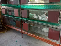 Клетки для кроликов из сетки 3.3 мм — photo 1
