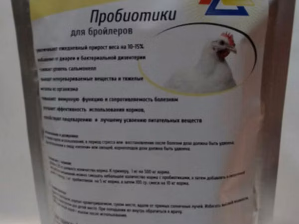 Chickens