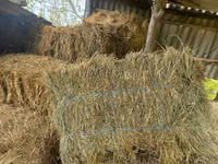 Сено луговое и солома — foto 2