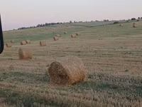 Pae de vinzare — foto 2