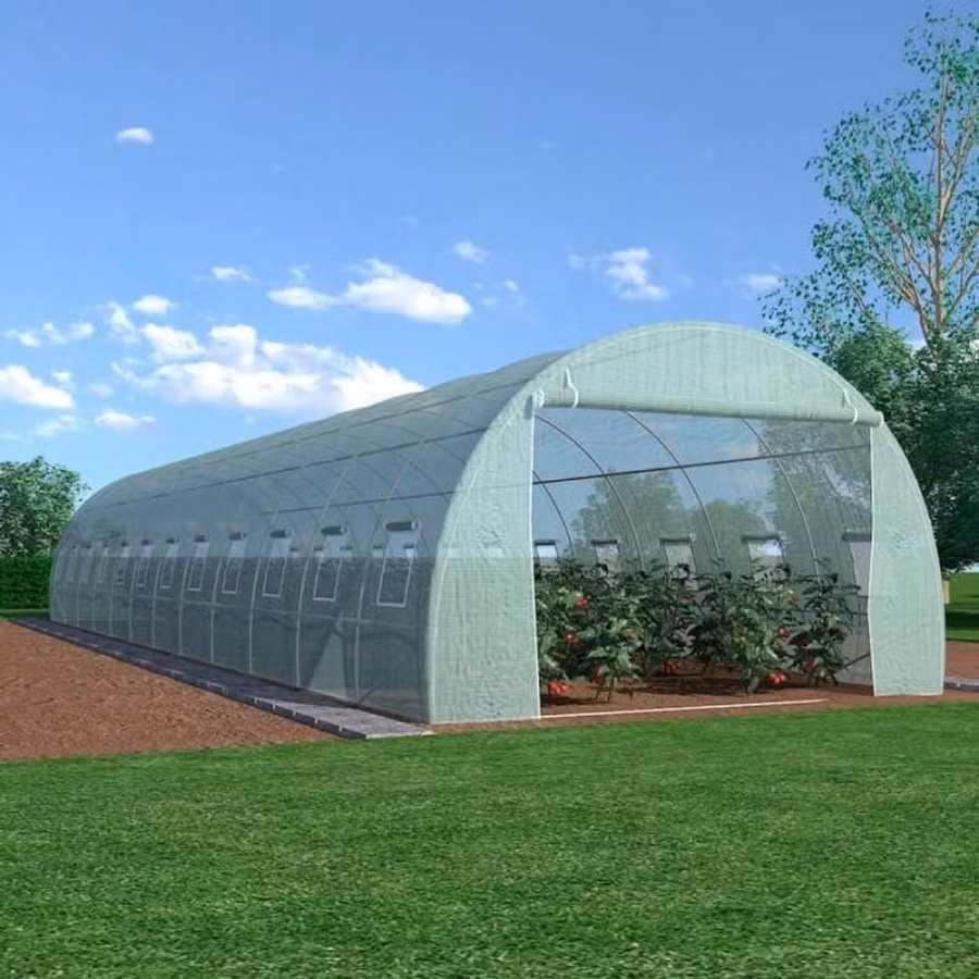 Sera Tip Tunel 6X4X2.5 M - ty - livrare / credit / agroteh