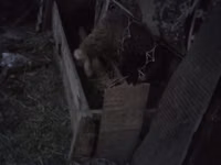 Кормушка для сельскохозяйственных животных (овцы, козы, телята) - — फ़ोटो 1