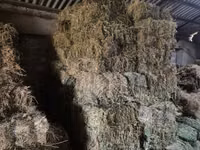 Тюки , Сено луговое — сүрөт 2