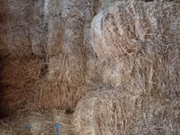 Продажа сена — Foto 1