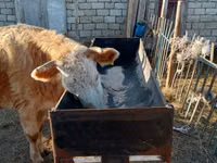 Астау, ақыр, науа, кормушка для скота, крупный, мелкий КРС, доставка — photo 3