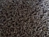 Corm p/t vaci.vitei.oi.capre..jom de sfecla. — الصورة 1