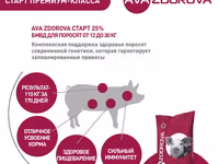 Бмвд для свиней 12-30 кг ava zdorova старт 25% 25 кг стартовая белковая витаминно-минеральная — Foto 4