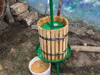 Producție specializată pentru recoltarea și producere a strugurilor ! — foto 3