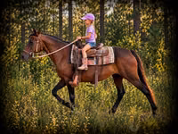 Mare, Quarter Horse — photo 1