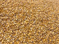 Vand 25 tone porimb uscat — foto 1