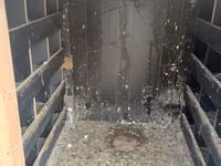 Taxta və metal dam örtüklü quşxana/saxlama daxması - Korpus: qalın — foto 5