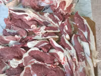 Eber, Schweine — Foto 3