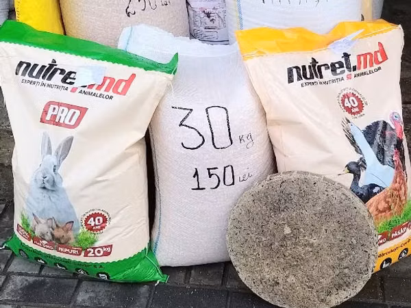 Vind granule la iepuri