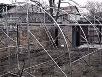 Sere mici de gradina — 3-rasm