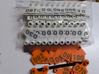 Numbered Eartags — foto 2