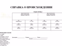 Баран, Лакон овца — фото 3