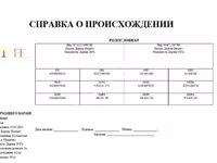 Qoç, Dorper sheep — foto 5