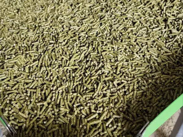 Vindem granule pentru animale si păsări in cantități mari sau mici
