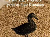 СТАРТ для уток (0-3 недели). Гранула 2-3 мм. ГОСТ — Foto 2