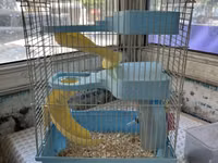 Hamster və balaca gəmiricilər üçün qəfəs - Rəng: açıq mavi plastik — Foto 1