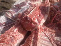 公猪, Pigs — 照片 2