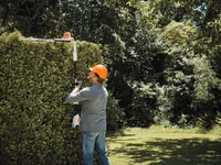 Инструменты Stihl для сада и участка — Бельцы и Сороки — photo 4