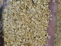 Macuc de soie și șrot — Foto 2