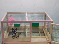 Dovşan,cücə,pişik,hamster,quş ve s kimi ev heyvanlari üçün qəfəsler — foto 5