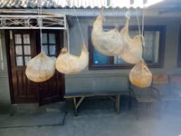 Cheaguri — الصورة 2