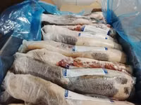 Язык говяжий аргентина offal  4407 — foto 4