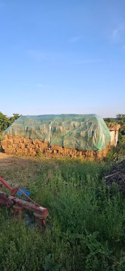 Tiucuri Lucerna anul 2026/2025 Edineţ