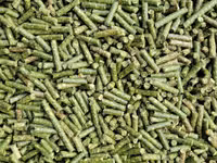 Producem si vindem granule pentru animale si păsări in cantități mari sau mici — foto 1