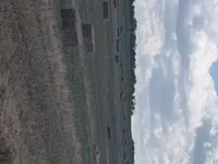 Луговая трава — foto 4