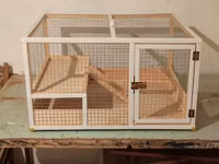 Yeni yığılıb dovşan,siçan,xomyak,hamster ve S ev heyvanları üçün — сүрөт 4