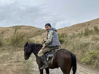 Cheval, Azerbaijan horse — photo 3