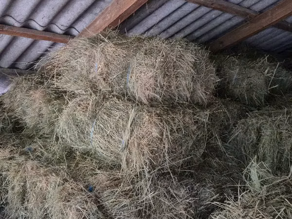 Vind Fîn, Lucernă,Paie în baloți