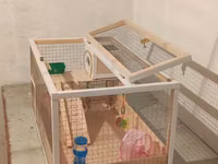Hamster/kiçik gəmirici üçün geniş taxta — foto 3