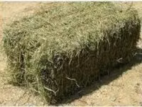 Baloți de lucernă prima coasă are si oleacă de iarbă prin ea! — foto 2